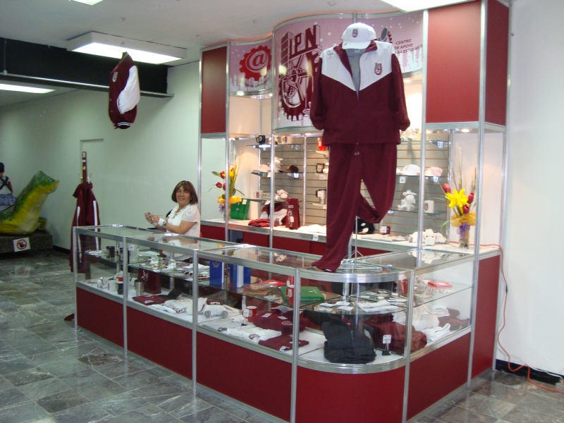 DEMS Profesiografica 2011