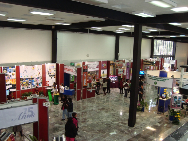 DEMS Profesiografica 2011