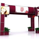 DES Profesiografica 2011