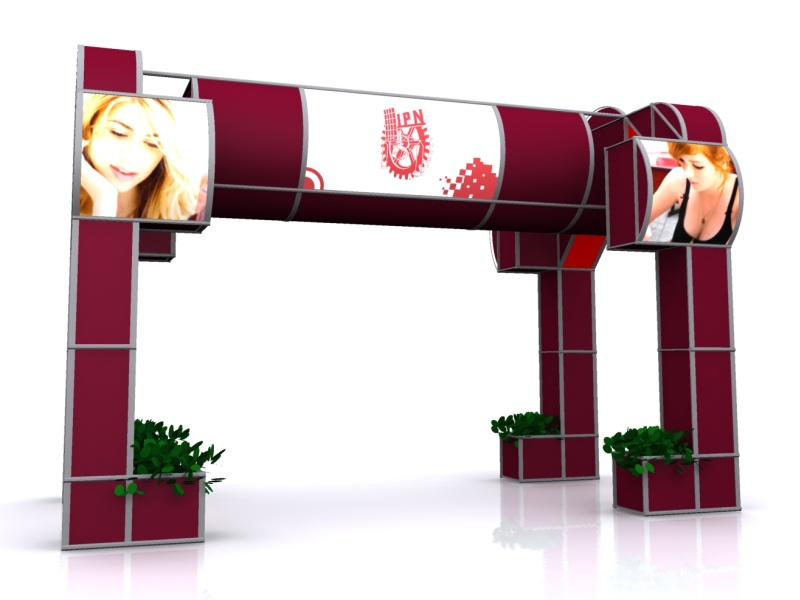 DES Profesiografica 2011