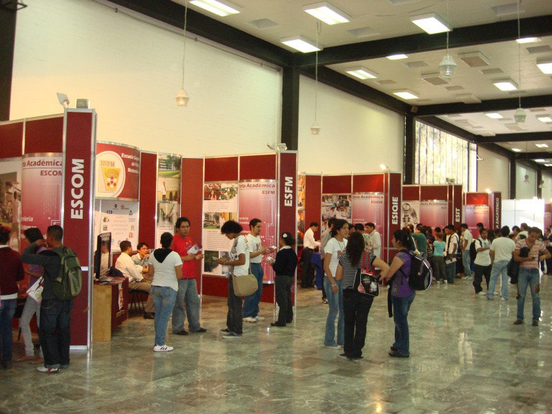 DES Profesiografica 2011