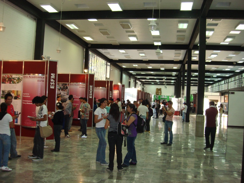 DES Profesiografica 2011