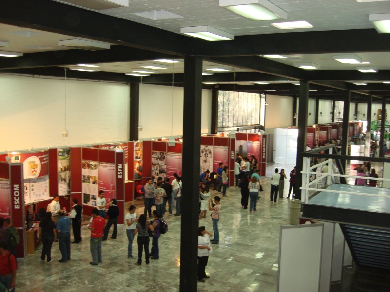 DES Profesiografica 2011