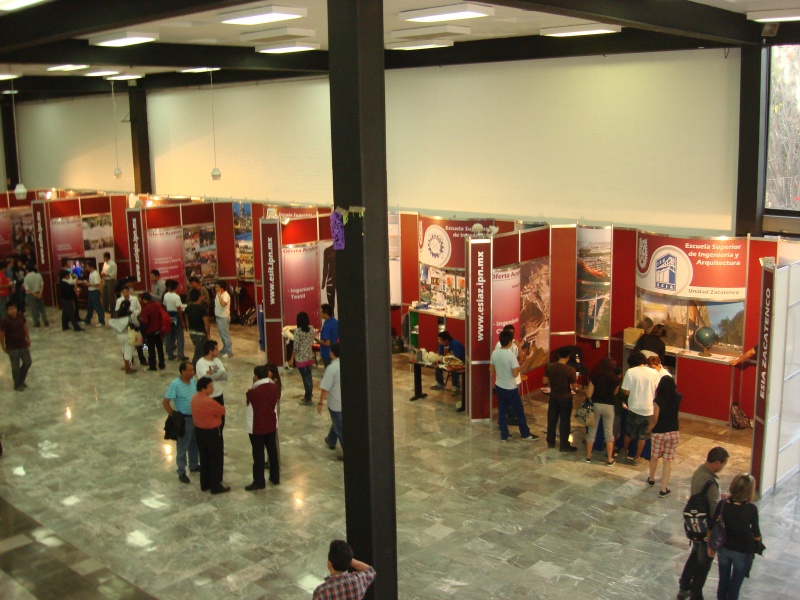 DES Profesiografica 2011