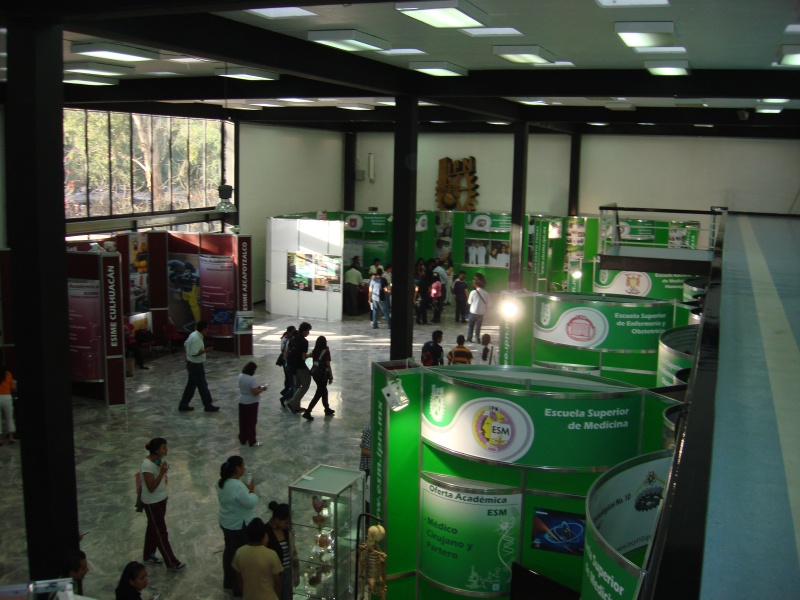 DES Profesiografica 2011