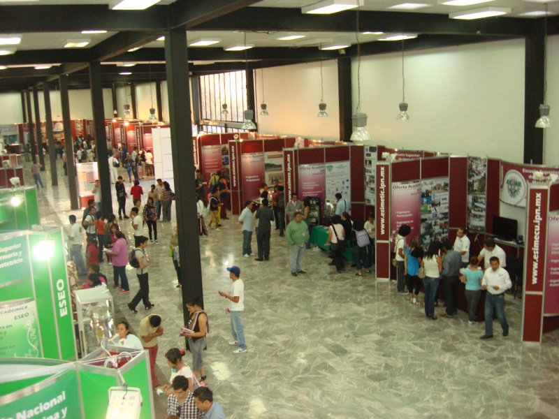 DES Profesiografica 2011