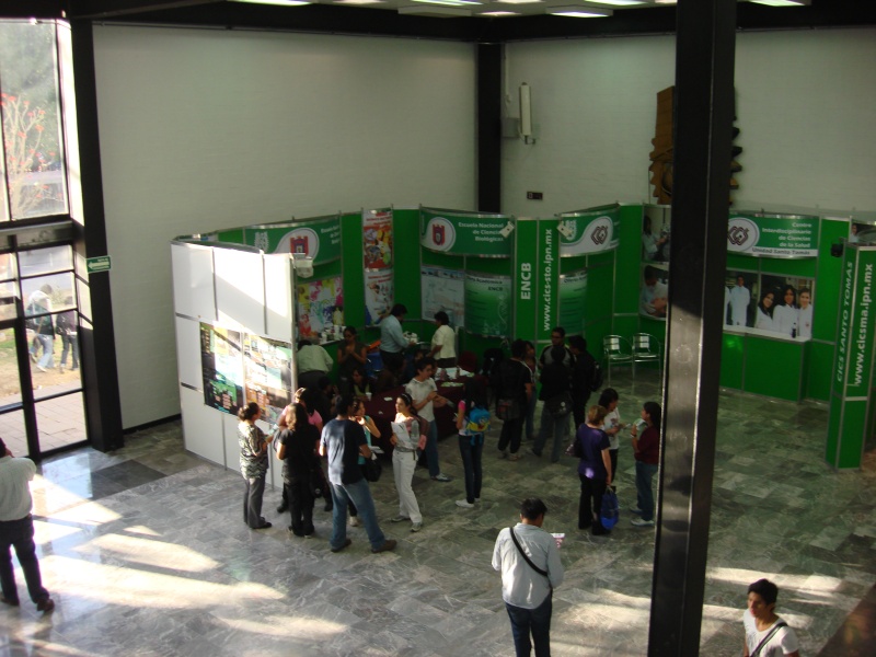 DES Profesiografica 2011