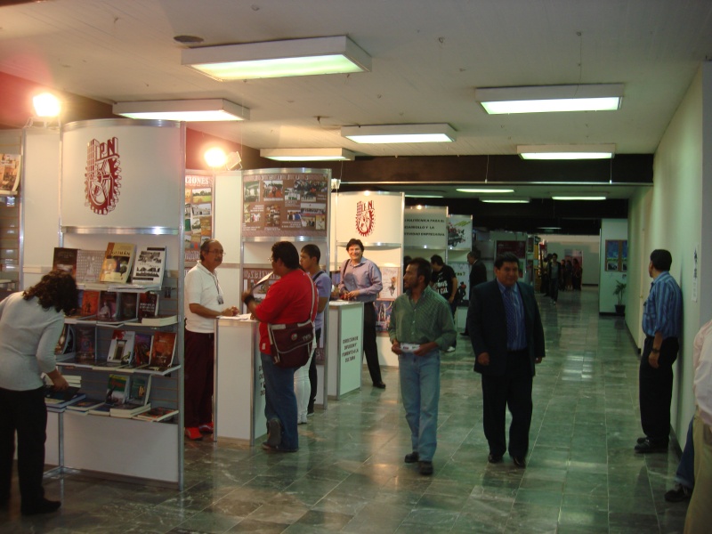 DES Profesiografica 2011