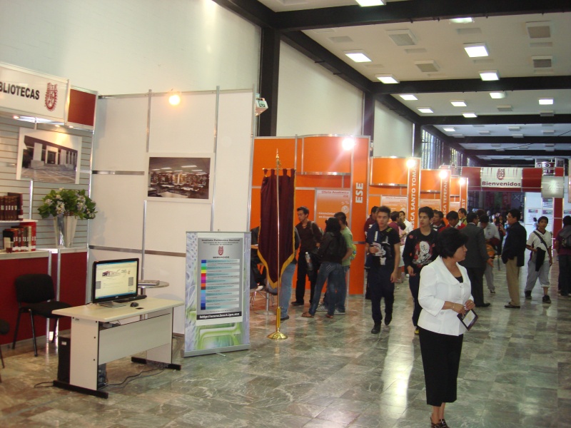 DES Profesiografica 2011