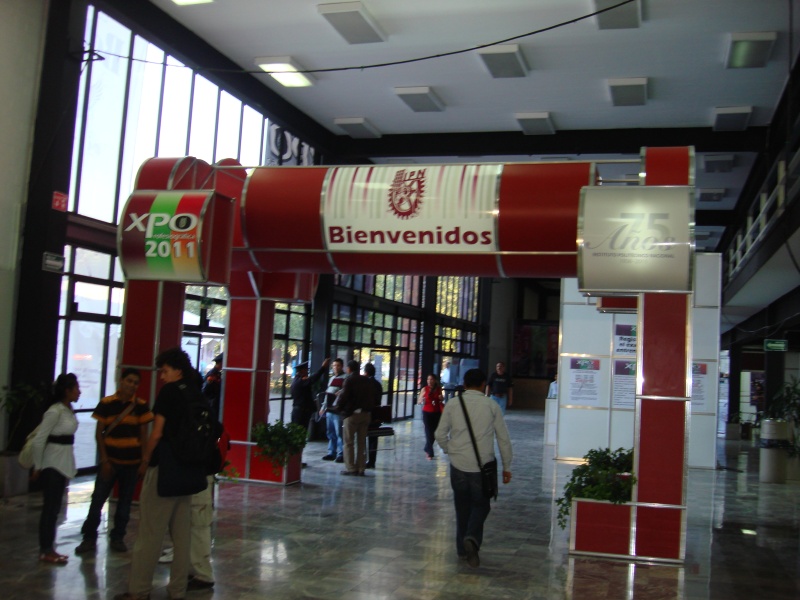 DES Profesiografica 2011